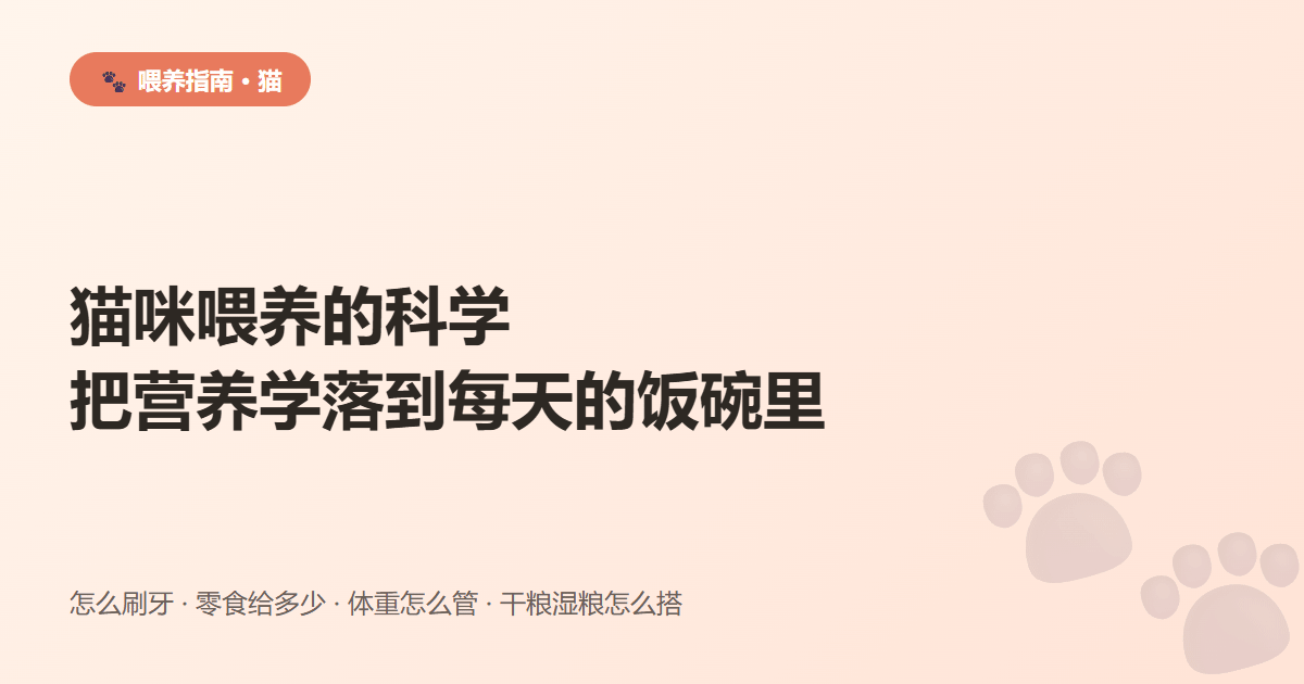 猫咪喂养的科学