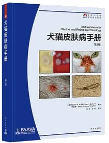 健康指南插画